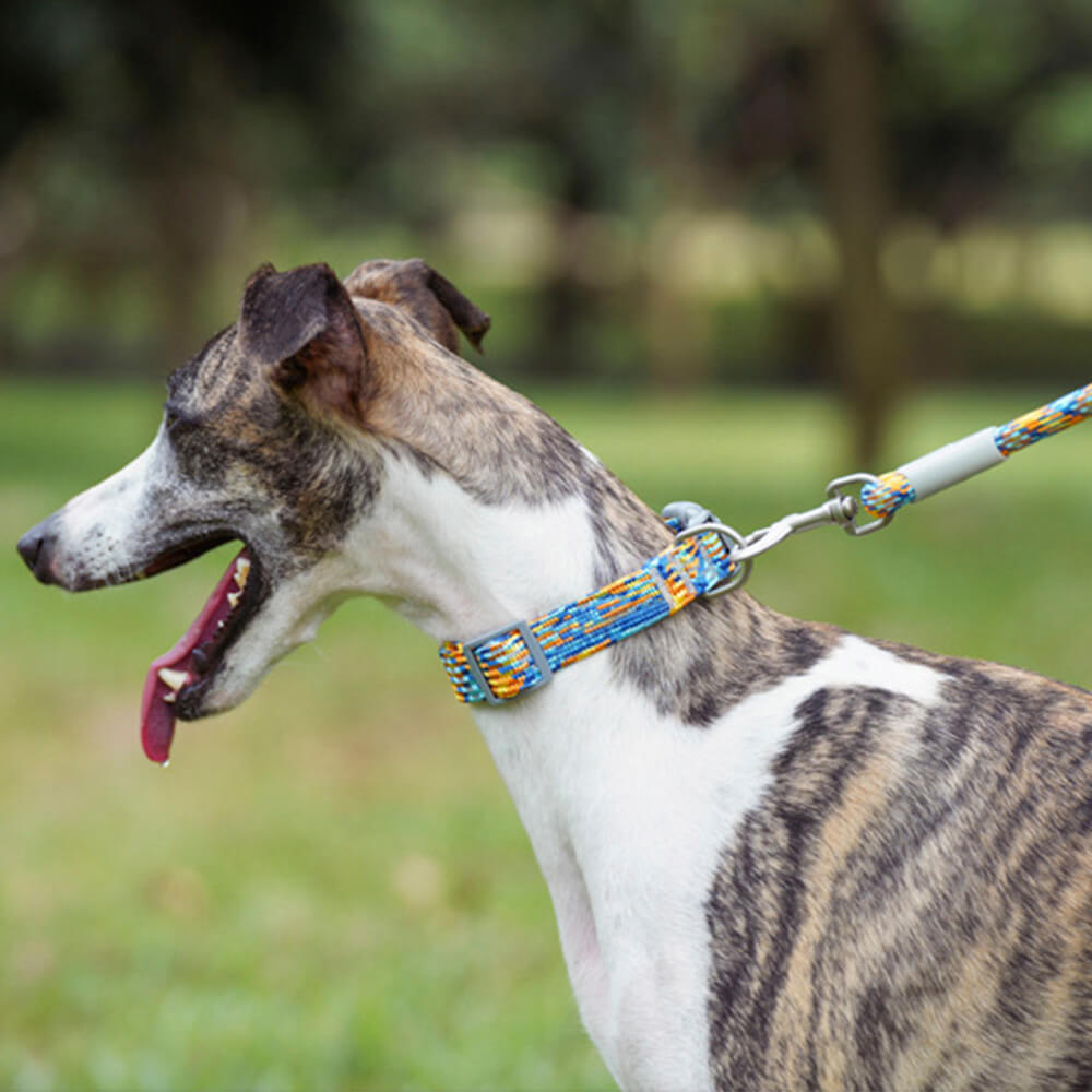 Reflective dog walking set, including a strong leash and a secure pet collar for visibility