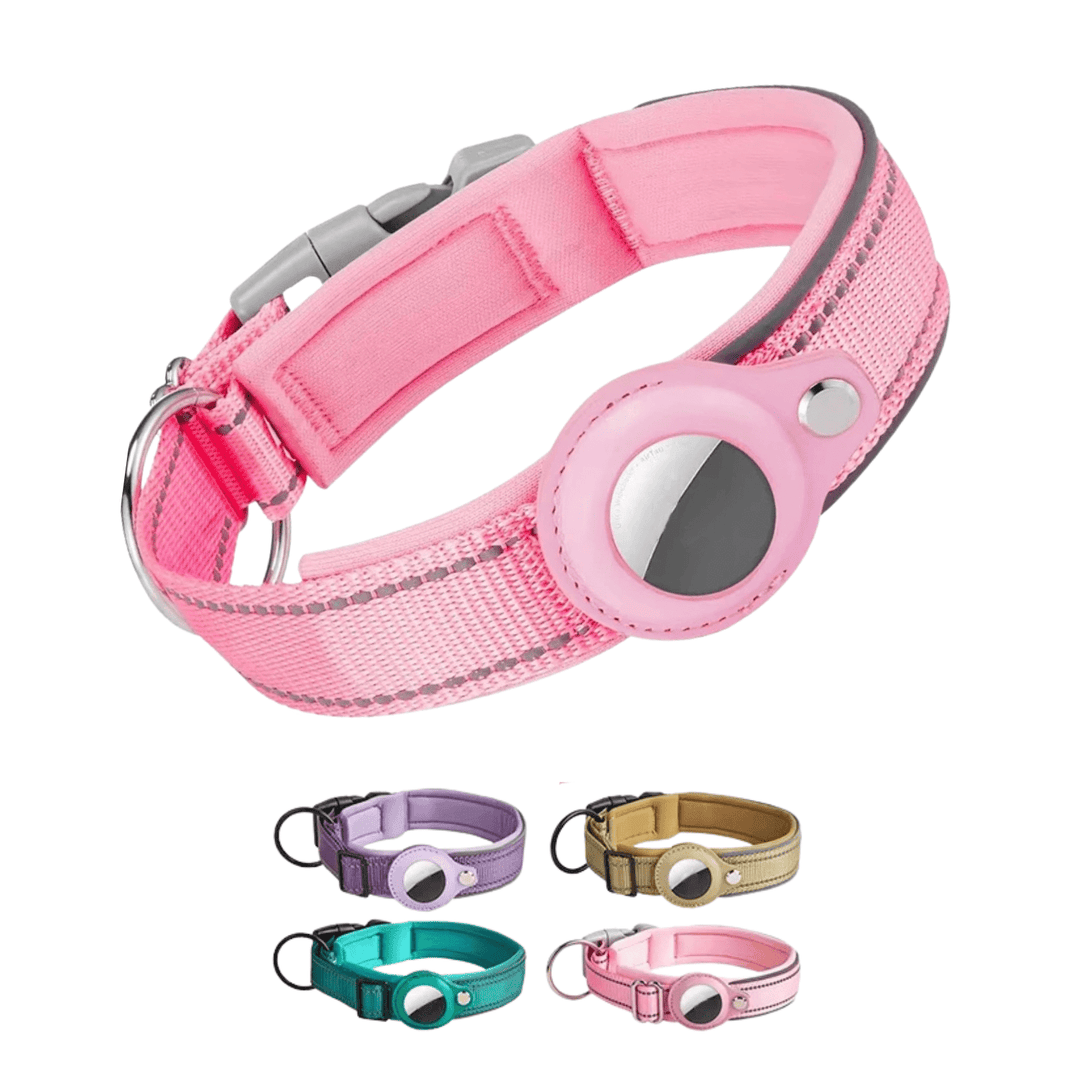 Heavy-duty nylon dog collar, adjustable, with reflective stitching and secure AirTag pocket.