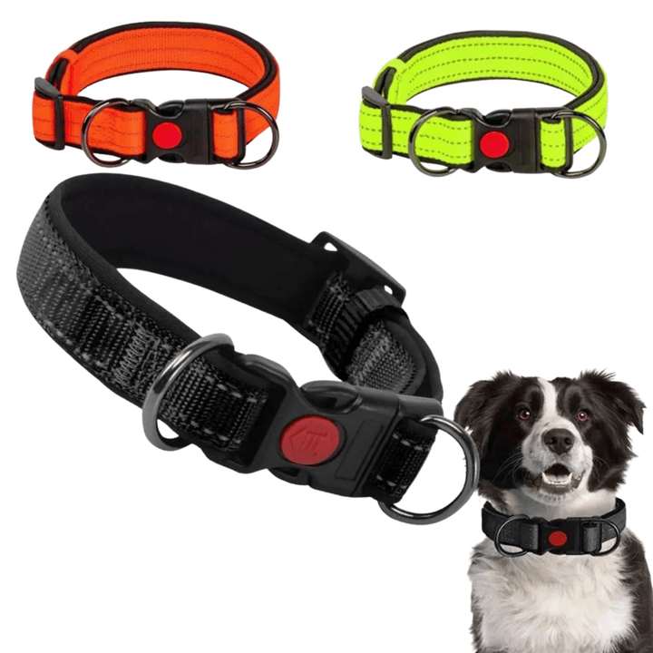 Unisex reflective dog collar, durable nylon with soft neoprene lining for pets.