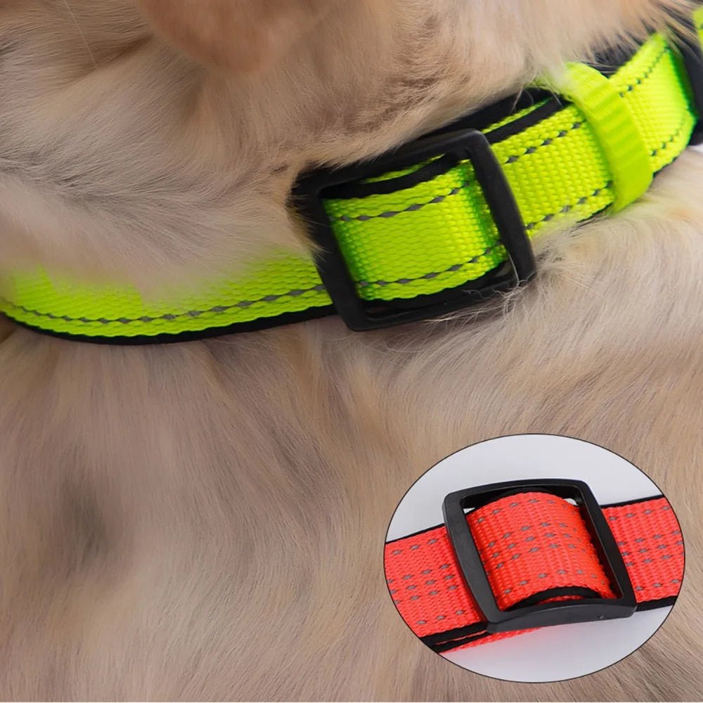 Adjustable reflective dog collar ensures visibility & comfort for active dogs at night.
