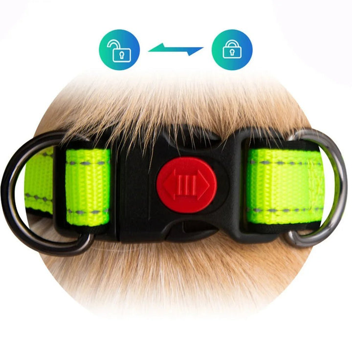 High-visibility reflective dog collar with neoprene padding for ultimate pet comfort & safety.
