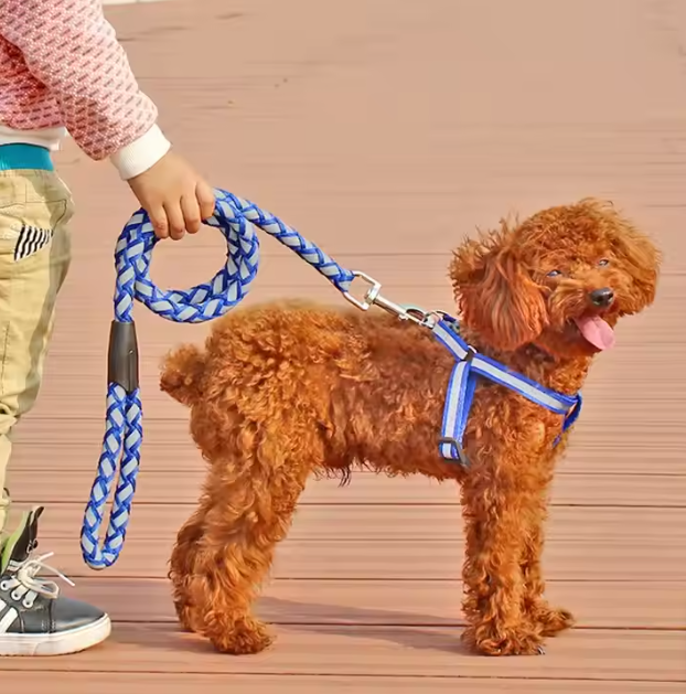 Reflective dog harness and matching lead set, perfect for pet safety during night walks and outdoor adventures.