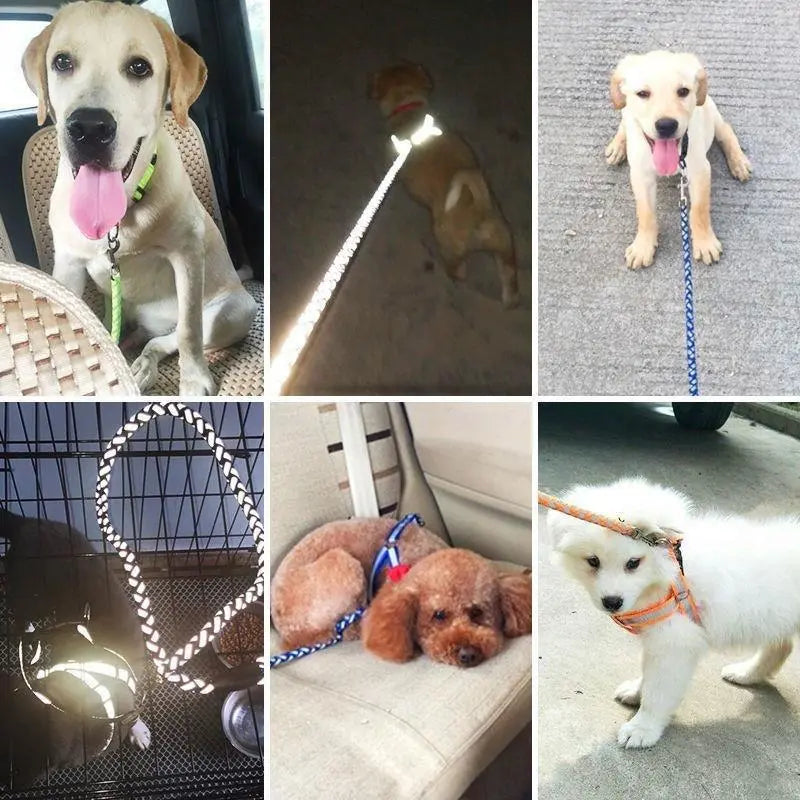 Comfortable reflective dog harness with a durable matching lead, essential walking gear for safe night time strolls.