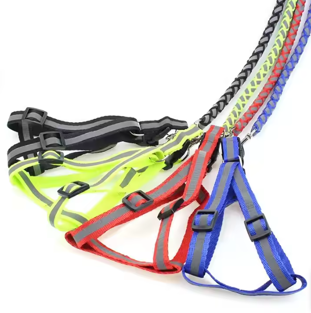 Dog wearing a reflective harness and lead set, showcasing the product in use during an evening walk for safety.