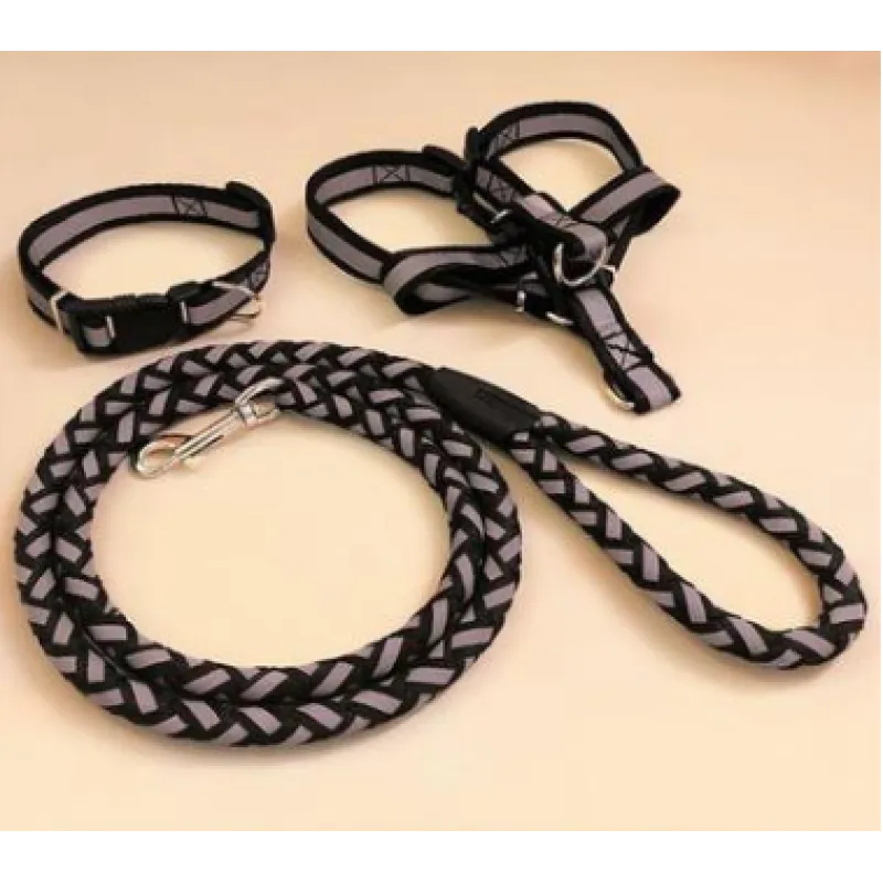 Complete reflective dog harness and lead package, providing essential pet safety and stylish walking gear.