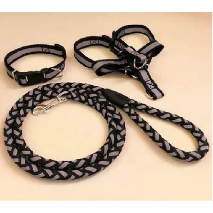 Complete reflective dog harness and lead package, providing essential pet safety and stylish walking gear.
