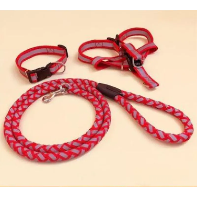 Reflective dog harness for medium-sized dogs with a padded chest plate and matching lead for comfortable night walks.