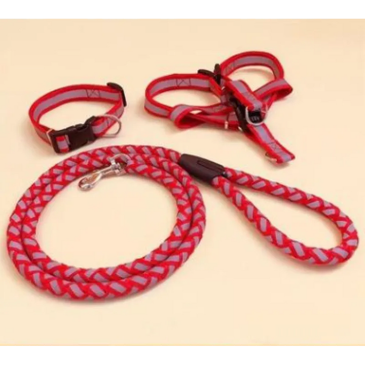 Reflective dog harness for medium-sized dogs with a padded chest plate and matching lead for comfortable night walks.
