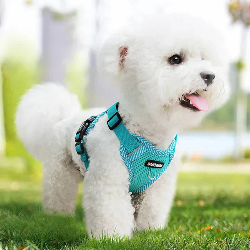 Reflective dog harness and matching leash for small pets, size XS, in black with red trim