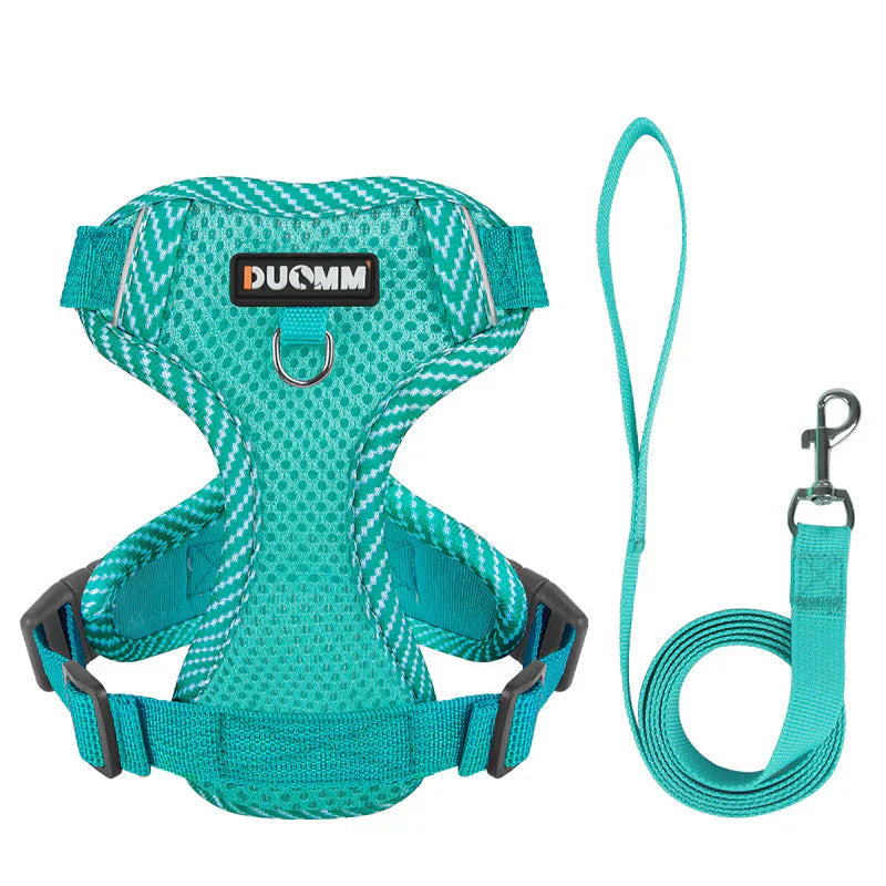 Pet leash and harness set, reflective, designed for small dogs, providing enhanced visibility