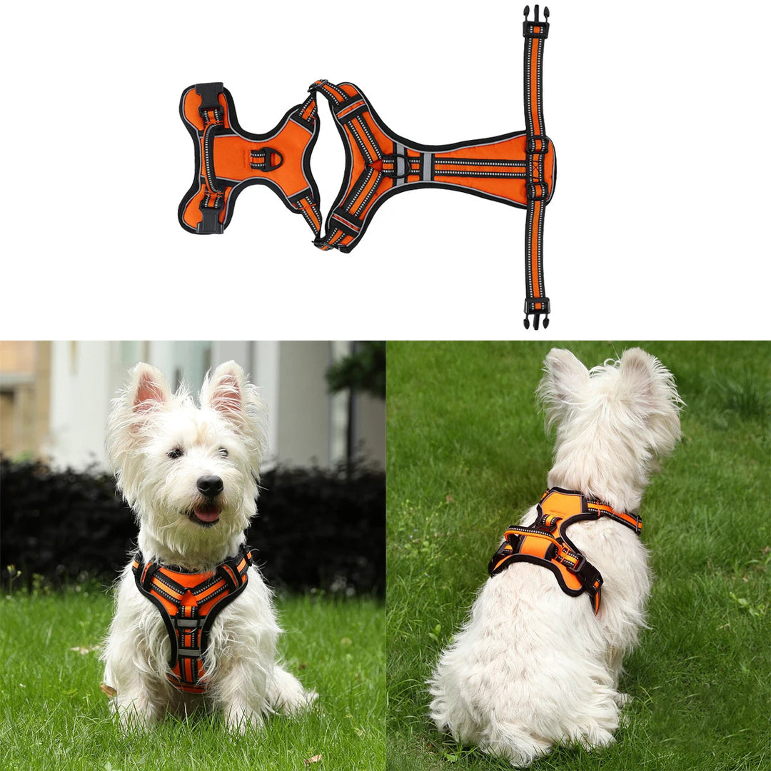 Close-up of reflective stitching on a dog harness, enhancing pet visibility and safety at night