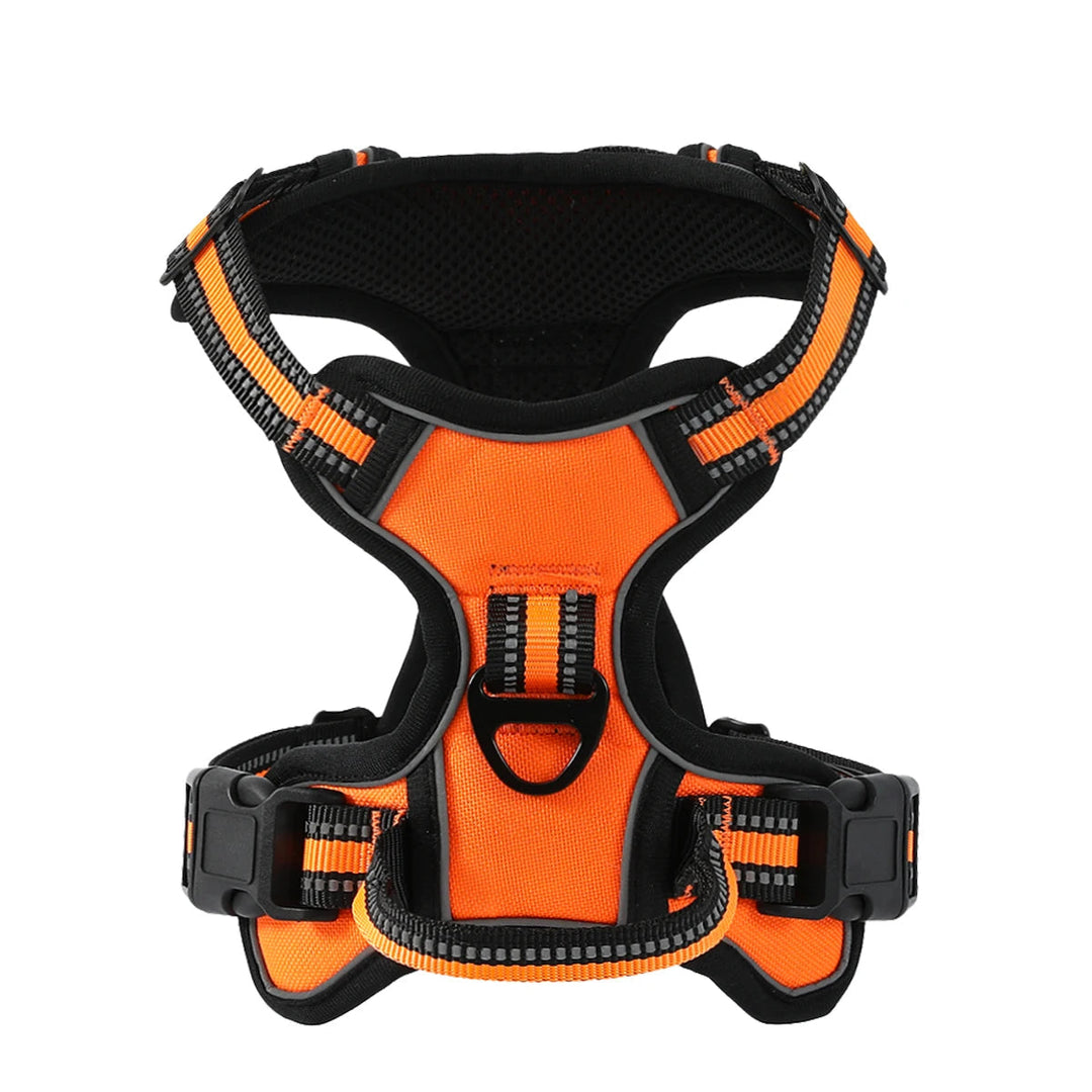 Dog wearing a reflective comfort harness, demonstrating secure fit and freedom of movement