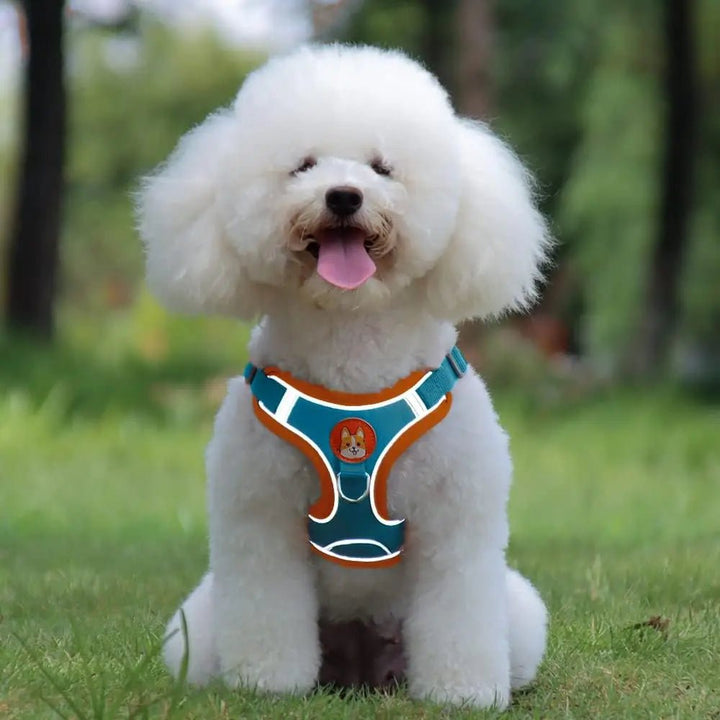 Padded reflective dog harness, black, ensuring comfort and visibility for outdoor adventures