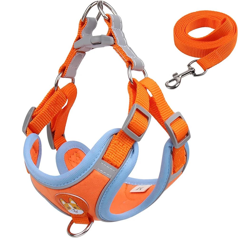 Reflective dog harness with padded chest strap for ultimate comfort and secure fit
