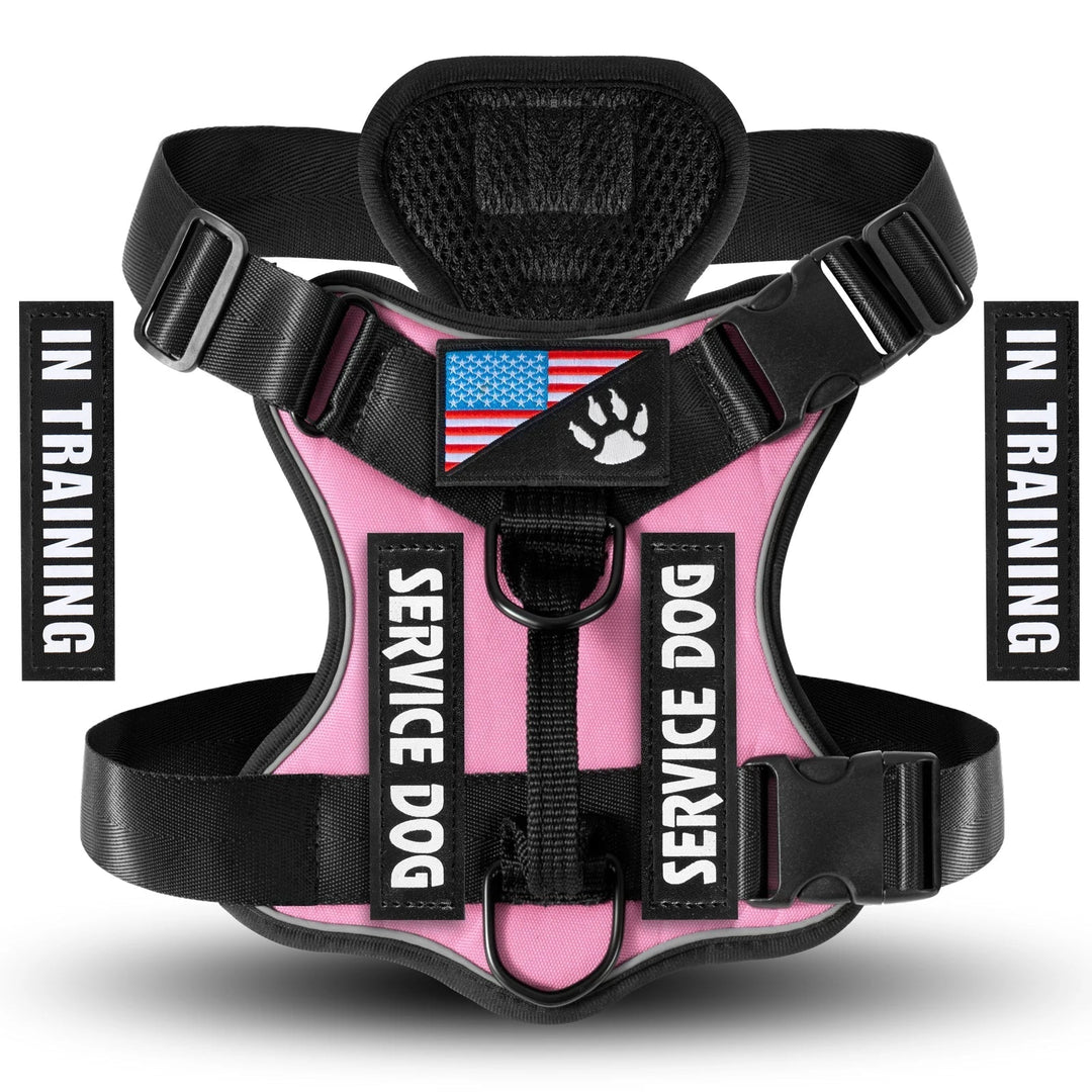 Various interchangeable patches for reflective dog harnesses, customizable pet gear options