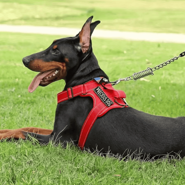 Black reflective dog harness with top handle for service or assistance dogs, durable oxford fabric pet gear