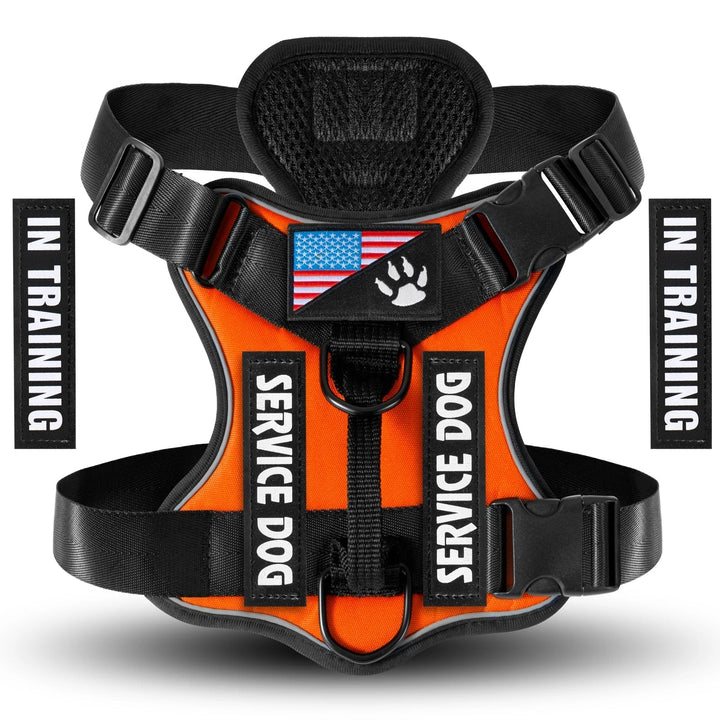 Dog wearing a reflective K9 harness with top handle, showing comfortable fit for active pets