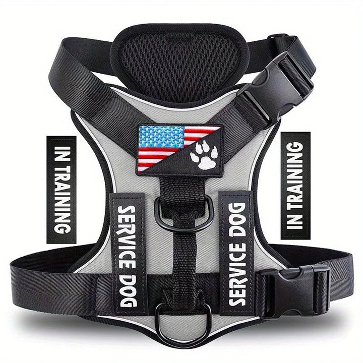 Adjustable reflective dog harness with sturdy metal D-ring and quick-release buckles