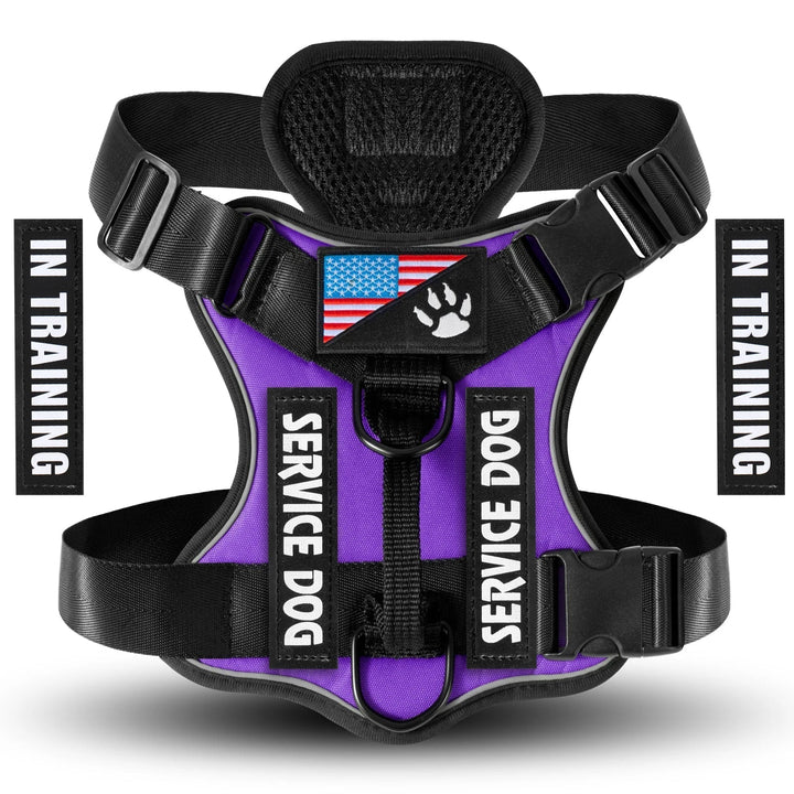Side view of an ergonomic reflective dog harness, demonstrating comfortable pet vest design