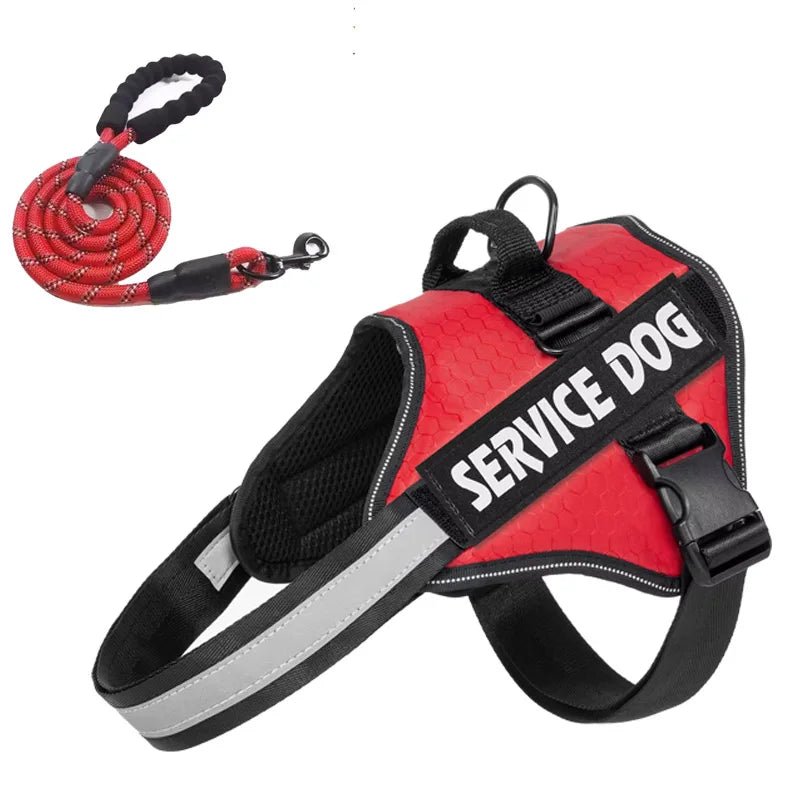 High-visibility reflective dog harness with 'SERVICE DOG' embroidery and leash