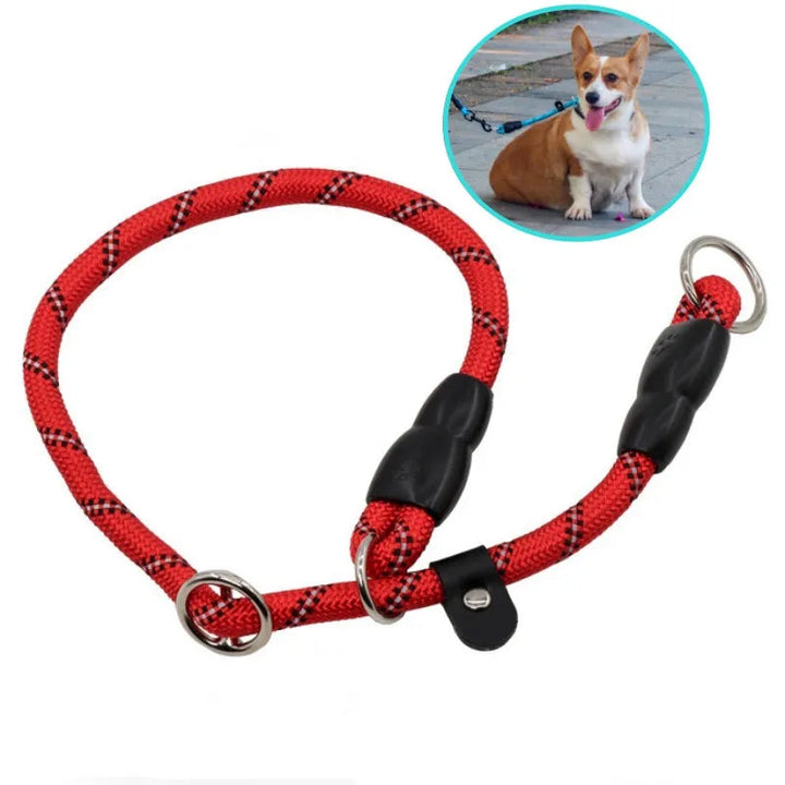 Orange reflective dog leash for training, strong and safe for outdoor pet adventures.