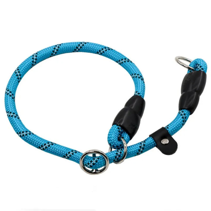 Pet owner holding reflective dog leash during an evening walk, showcasing safety feature.