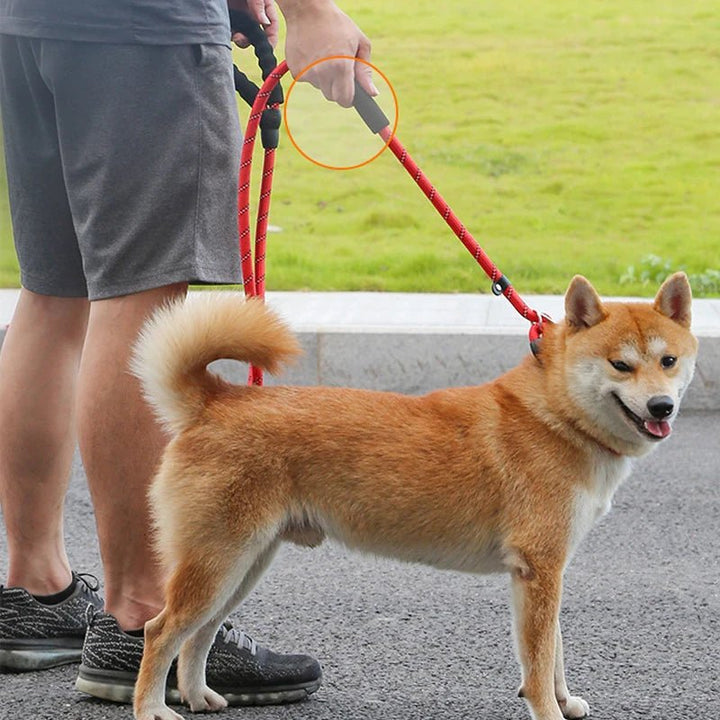 Durable nylon reflective dog leash and adjustable collar for training