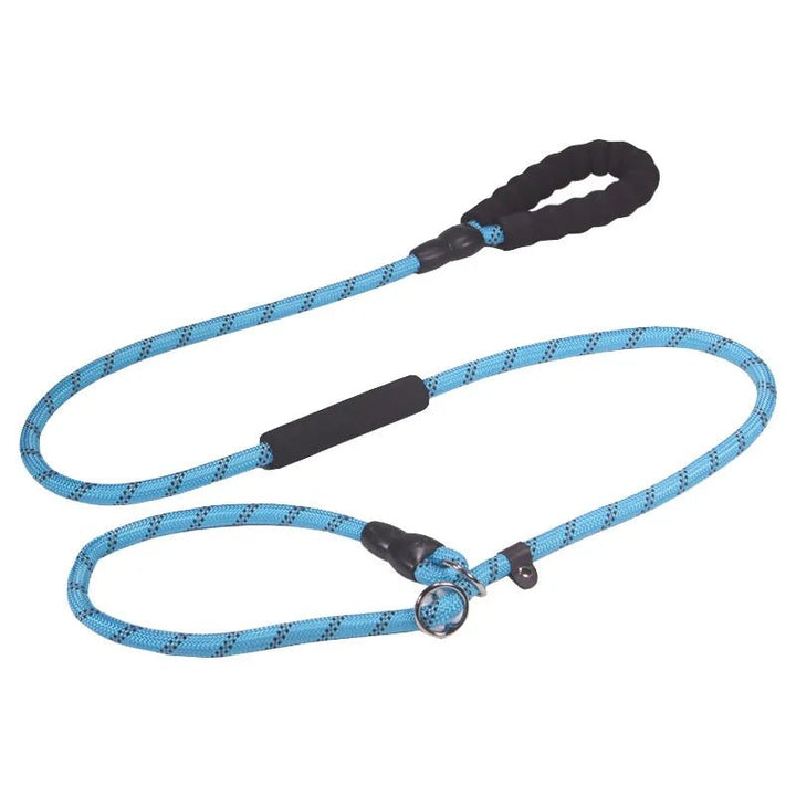 Dog safety gear: reflective leash and collar for outdoor adventures