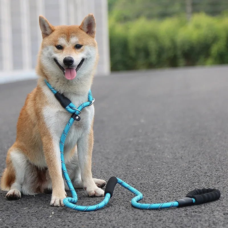 Black reflective dog leash with soft padded handle and matching adjustable collar