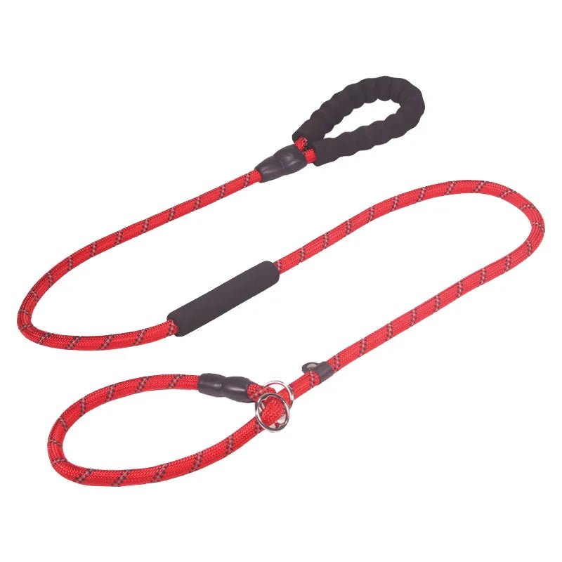 Reflective walking dog leash and collar set, ideal for visibility and comfort