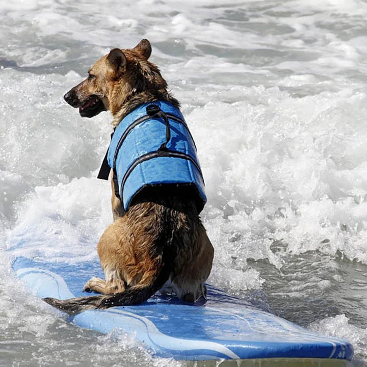 Royal blue dog life jacket featuring reflective strips and a breathable mesh underbelly for pet safety.
