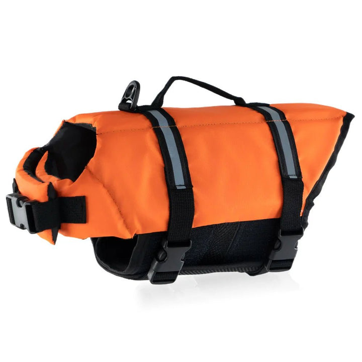 Measuring a dog for a reflective life vest, ensuring perfect fit for optimal water safety.