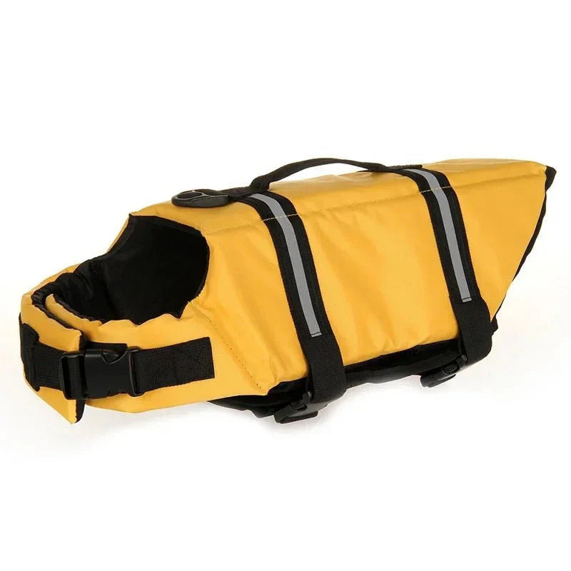 Dog enjoying a lake swim, secured by a reflective life jacket with a convenient rescue handle