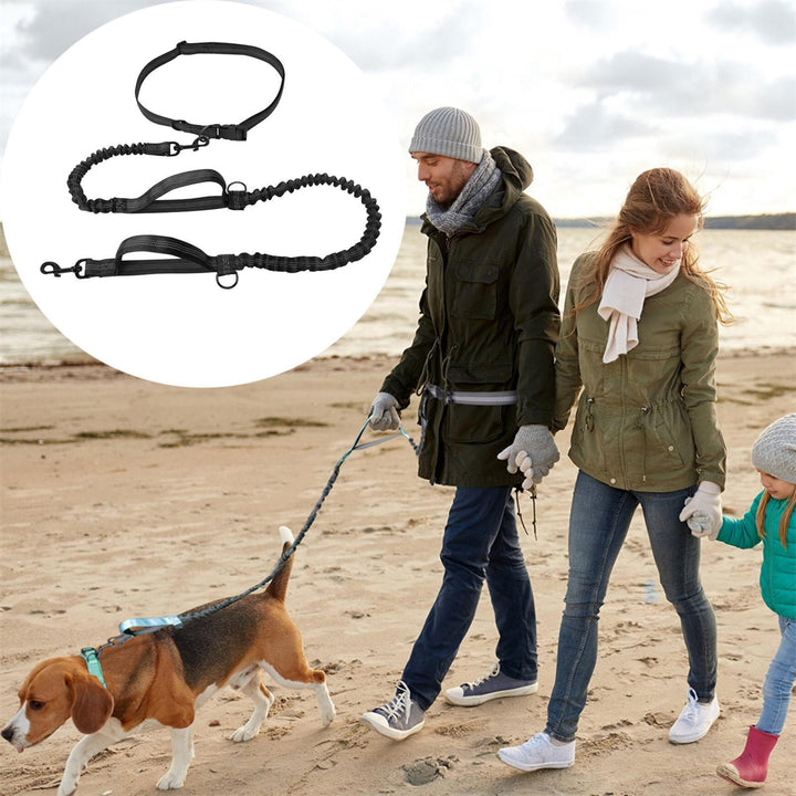 Unisex double dog leash, durable and shock-absorbing, perfect for jogging with two dogs.