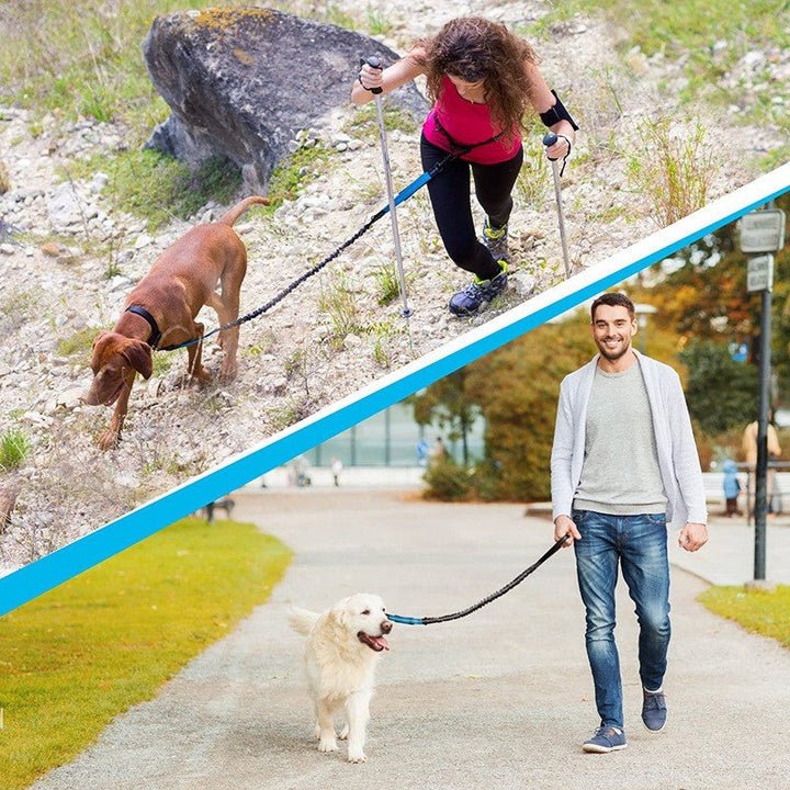 Black nylon double dog leash with comfortable handle, designed for walking and jogging multiple pets safely.