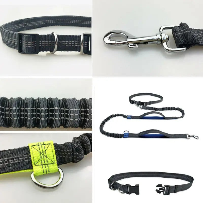 Reflective double pet leash for night safety, shock-absorbing for comfortable walks with two dogs.