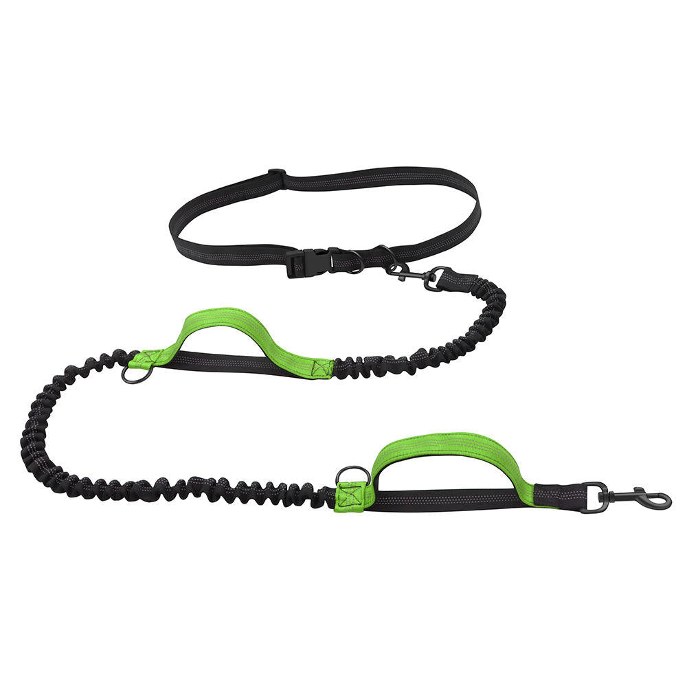Shock-absorbing double pet leash, black, for two dogs, perfect for comfortable walks and jogging.