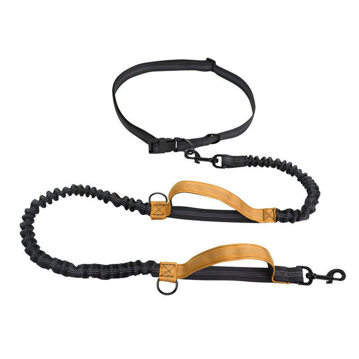 Unisex jogging dog leash, reflective and durable nylon, designed for safely walking two pets.