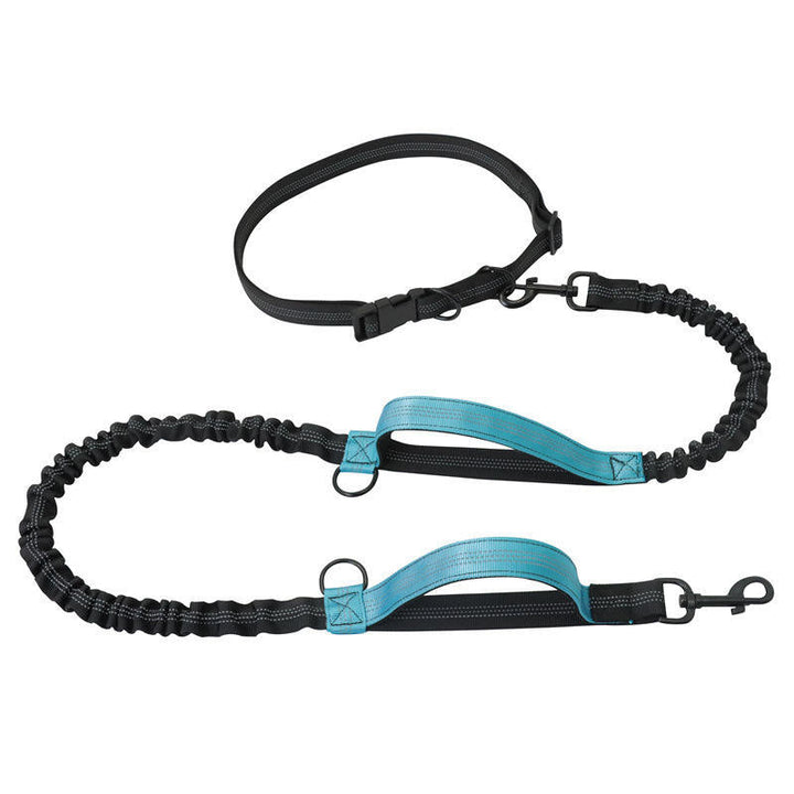 Pet accessory: double dog leash in black nylon, shock-absorbing and reflective for active owners.
