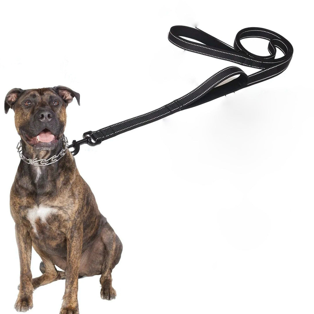 Reflective double handle dog leash for large breeds, heavy-duty polyester, night safety pet supplies.