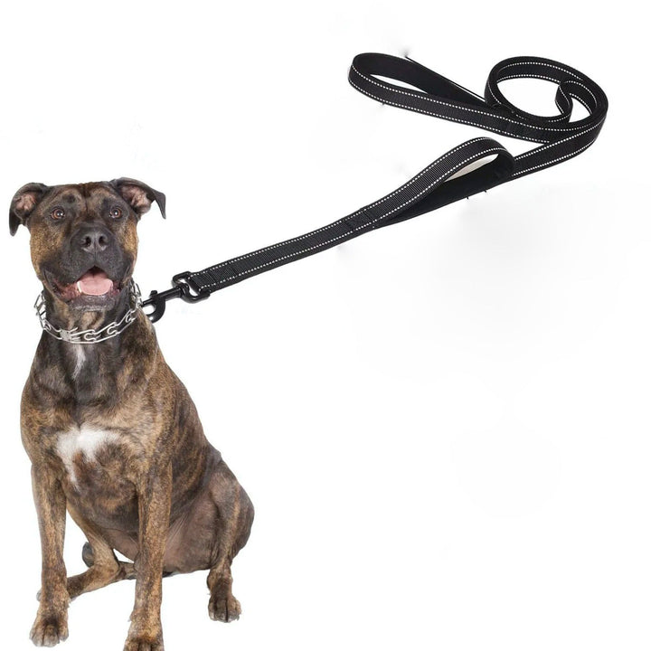 Reflective double handle dog leash for large breeds, heavy-duty polyester, night safety pet supplies.