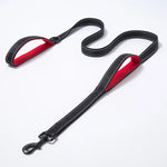 Black and Red