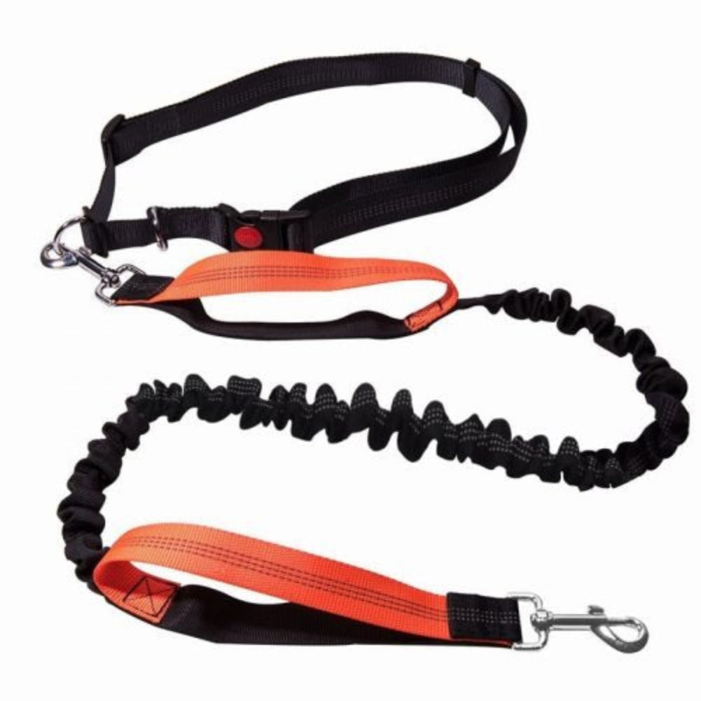 Reflective hands-free dog running leash with adjustable waist belt for jogging and outdoor activities