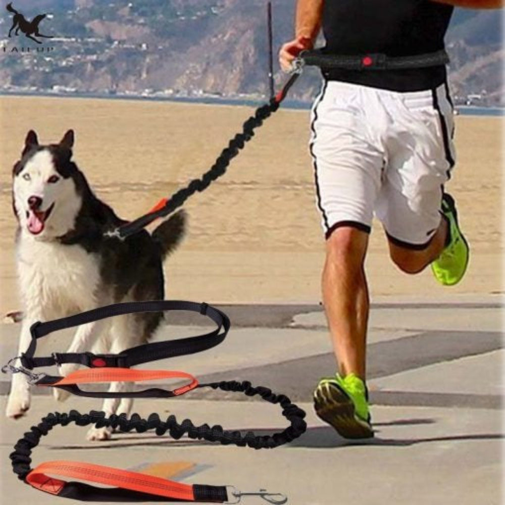 Comfortable bungee hands-free dog leash for running, walking, and training with pets