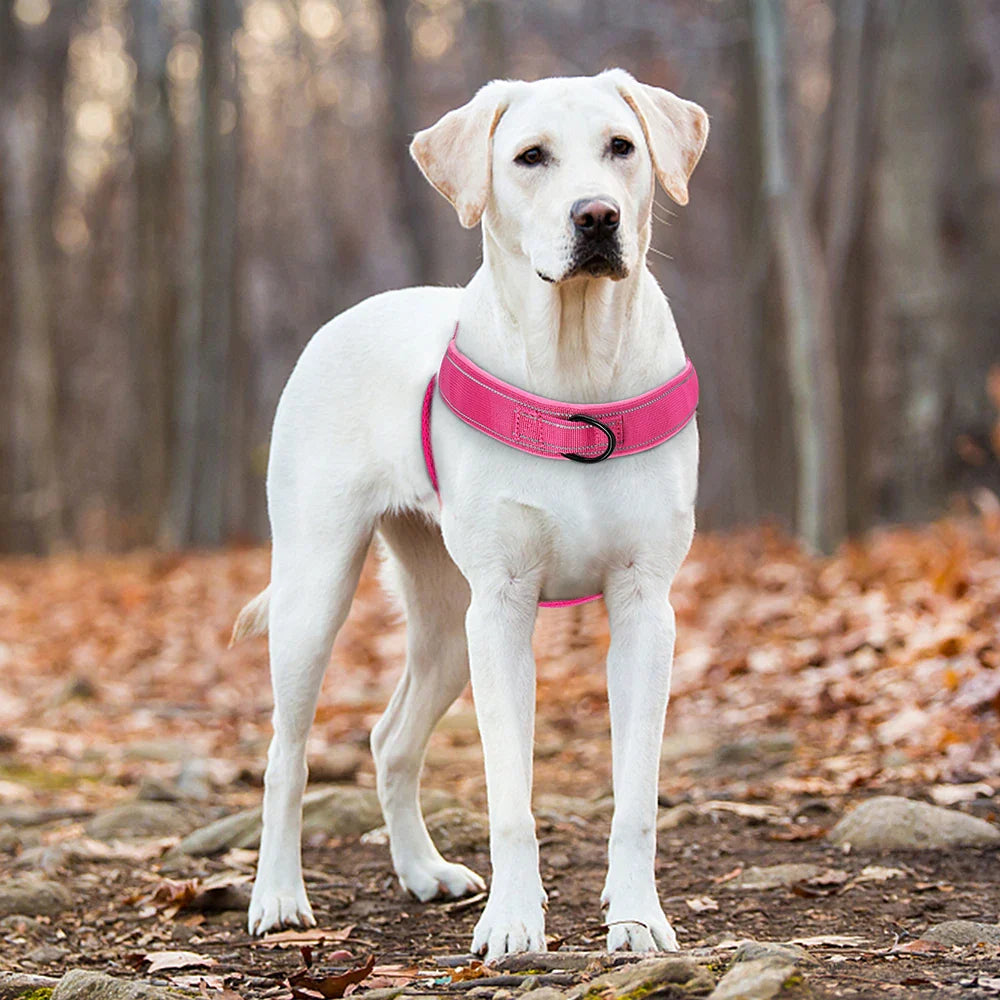 Green reflective dog harness with strong back handle, perfect for training and outdoor pet safety