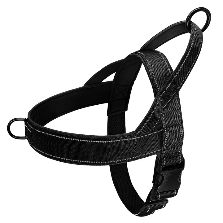 Dog wearing an orange reflective no pull harness, walking safely outdoors with good visibility