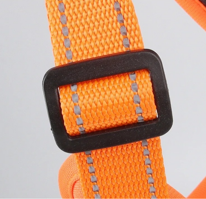 Dog walking gear: ergonomic no-pull harness for comfortable pet adventures