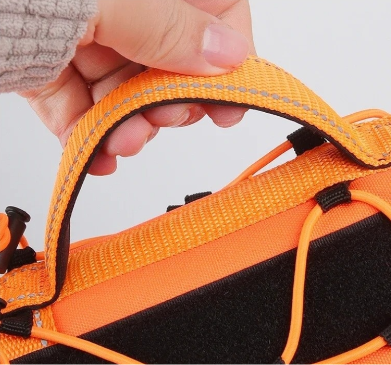 Close-up of a durable no-pull dog harness showing adjustable straps for control