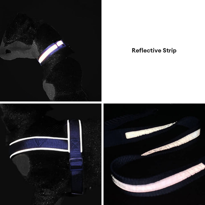 Heavy-duty reflective dog leash, perfect for large dogs and reliable outdoor pet safety.