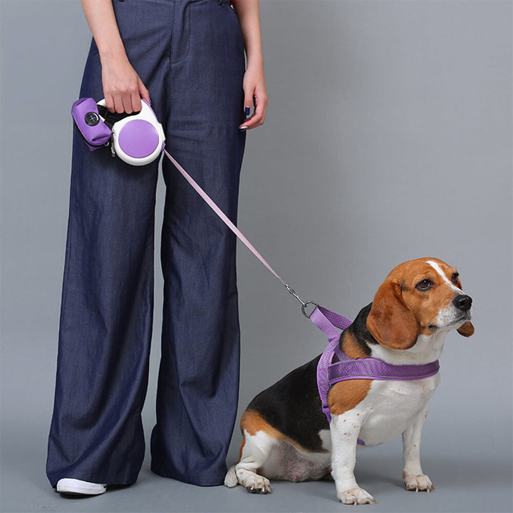 No-pull dog leash with padded handle and reflective accents for training and safety.